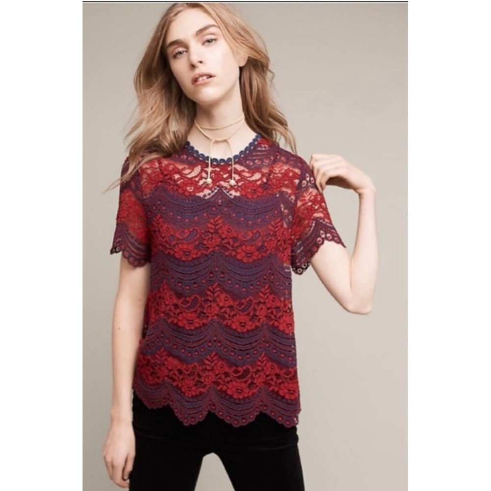 NWT Foxiedox Lace Top Red & Navy Blue Short Sleeve Lined Back Detail Size M
